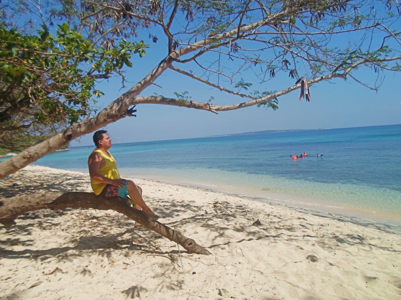 Herman Menor Island