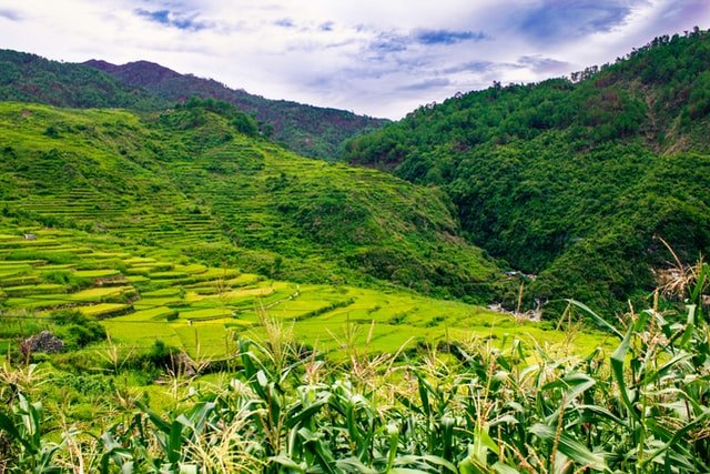 Sagada